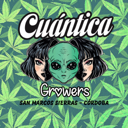 Cuantica growers